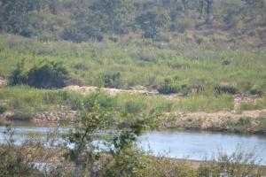 Athule Inn Marloth - Units