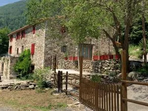 Mas Graffouil - Espinavell