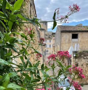 Maisons de vacances La Petite Fontaine : photos des chambres