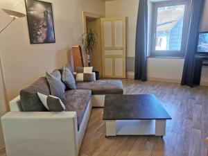 Appartements gite a Cornimont chez Victorien et Elo : photos des chambres