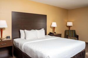 King Room - Accessible/Non-Smoking room in Clarion Pointe Harrisonburg