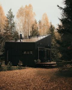 Briežu Stacija Off Grid Cabin