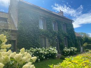 Maisons d'hotes La Maison d'Aline - Honfleur - Maison d'Hote De Charme A La Normande : photos des chambres
