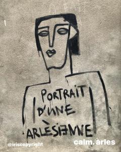 Appartements Maison Terrasse Beauduc, Arles : photos des chambres