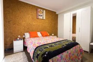 Apartamento Céntrico III - Campdevánol