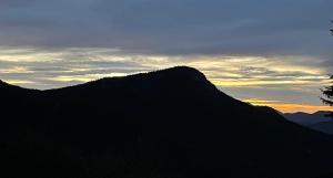 Chalet in the Forest