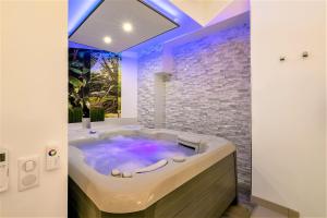 Appartements Relax Spa, avec jacuzzi a Dijon : photos des chambres