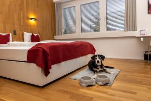 Hotel Restaurant Rhy