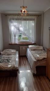 Apartament M-5