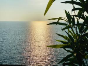 Doñana12 by SunHousesCanarias