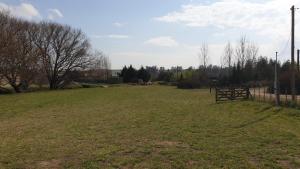 Casa Container Chacra 202