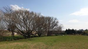 Casa Container Chacra 202