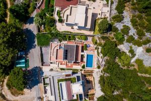 Villa Borna Apartments 