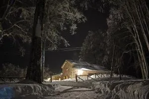 Chalet Vecchio Rifugio - Monte Amiata - Monte Amiata