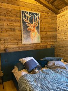 Chalets chalet Cocoa : photos des chambres