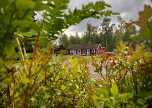 Ekologiska Fru Gran B&B i Tiveden