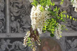 Two-Bedroom Apartment with Terrace - 7 Via dei Pepi