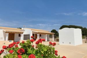 Aptos rurales Can Pep de Sa Barda - Viñedos y tranquilidad