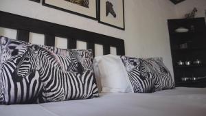 Zwartberg View Mountain Lodge