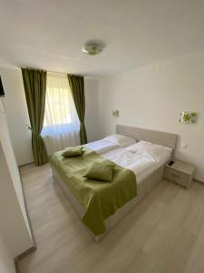 Two-Bedroom Apartment room in Pensiunea Padurea Verde