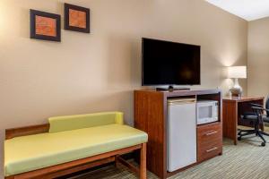 King Suite - Non-Smoking room in Comfort Suites North Elkhart