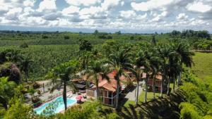 Palmas De Santa Elena