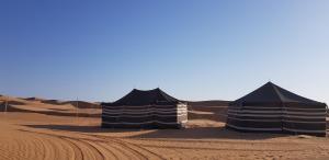 Private Bedouin Tent Al Badri