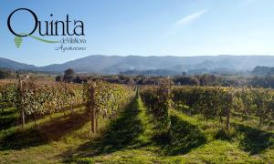 Quinta De Vila Nova - Agroturismo