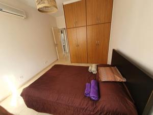 Ancient Paphos - cozy place next to the sea, marina, historical sites, buses, mall, and market