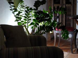 Marolas Búzios Casa Geribá