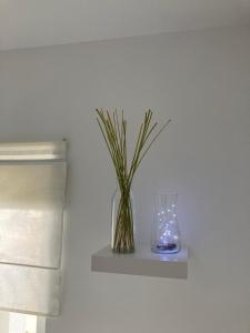 Apartment Rzeszów Karolina