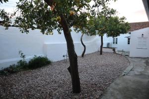 Casa do Tio Zé