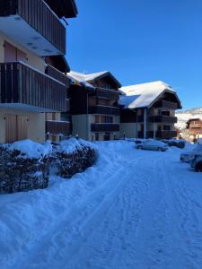 Appartements Appartement 2 pieces pieds des pistes terrasse face a la montagne : Appartement 1 Chambre