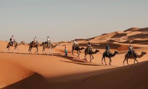 Chegaga desert Trips camp
