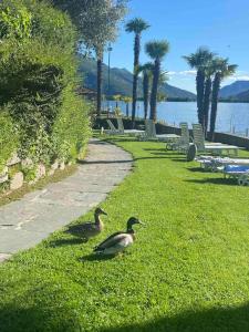 Holidays on the Lake Lugano - Кампионе-д