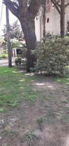 Lo de Antonio Departamentos