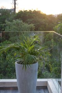 Kataleya Tulum by Zaazil - New Luxury Penthouse Up to 10 people, 3-level, 3240 sqft , Private Pool, Terrace and Roof Top in Luum Zama in the Jungle