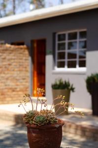 Desert Dew Guest House