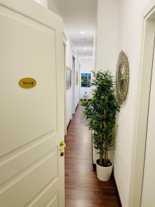 RarityArt GuestHouse