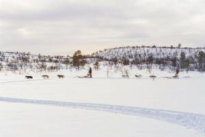 Hotel Korpikartano, Meneskartanontie 71, 99870 Inari, Finland.