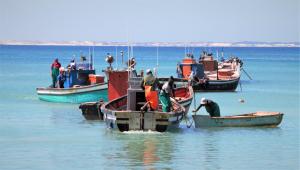 Spring Tide on 28 Main Struisbaai