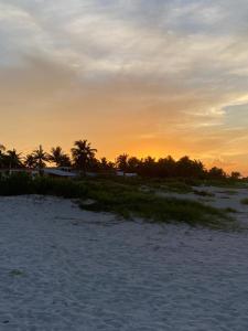 Villa Gaviotas el cuyo beach
