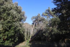 Maisons de vacances Pascanono - Location de maison de vacances avec jardin pour sejour a Le Palais, Belle-Ile-en-mer : photos des chambres