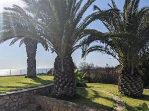 Ionian Blue Luxury Villas