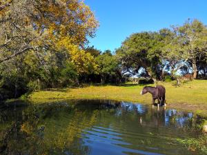Casa de campo - retiro con encanto en las sierras