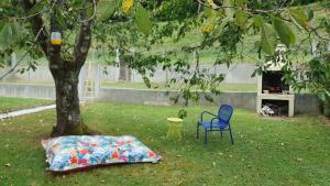 Maisons de vacances Maison aux pieds des Pyrenees : photos des chambres