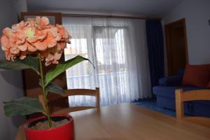 Ferienwohnung in Tribunj mit Meerblick, Balkon, Klimaanlage, W-LAN 5034-3