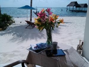 CANCUN PRIVATE APARTMENT