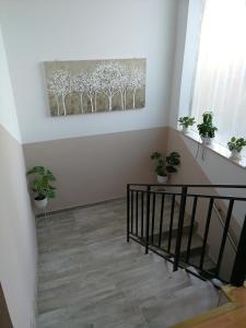 Apartmani Astra