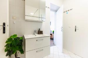 Experience Central Vienna from a Stylish and Modern Apartment